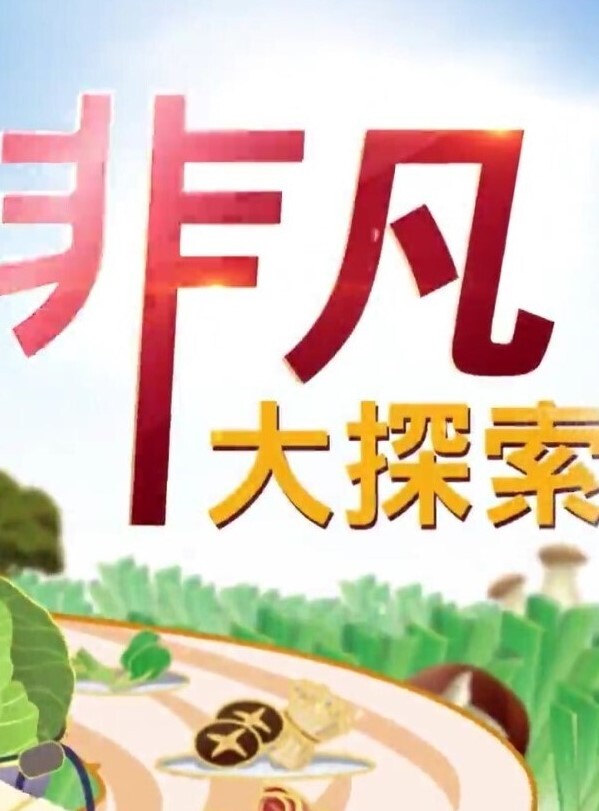锤子探花再约极品眼镜御姐美腿高跟鞋很主动埋头舔骚逼抱起来猛操小穴 - 中文阿薇海报